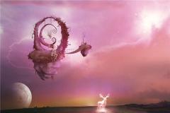 梦与现实相反还是预兆