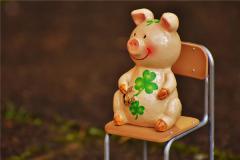 2019年属相的人好不好