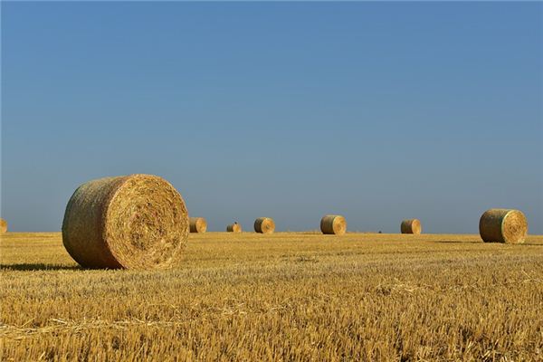 梦见干草是什么意思 梦见干草是什么意思