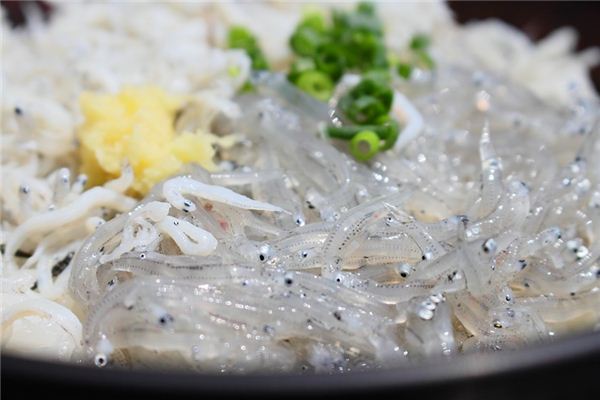 梦见银鱼是什么意思 梦见银鱼是什么意思