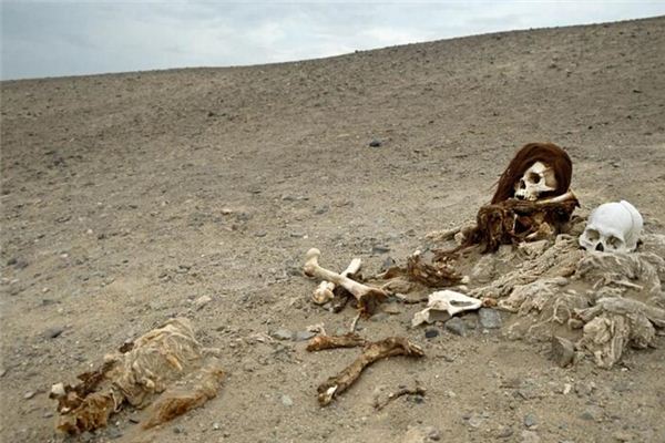 梦见盗墓是什么意思 梦见盗墓是什么意思