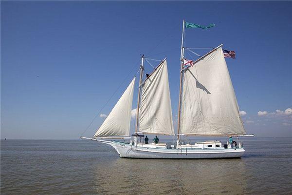 梦见大风是什么意思 梦见大风是什么意思