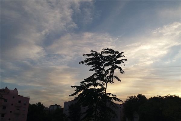 梦见刮风是什么意思 梦见刮风是什么意思