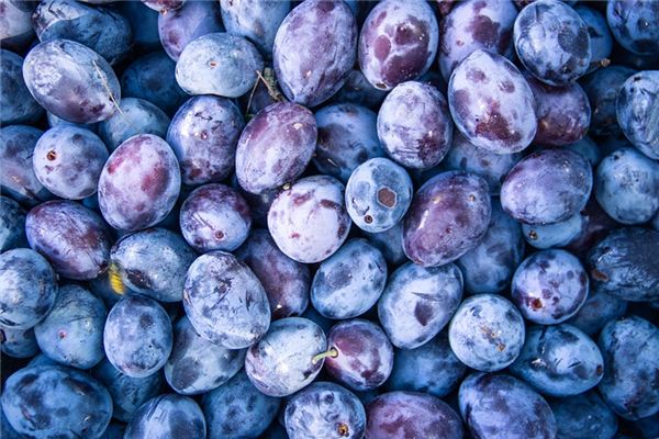 梦见李子是什么意思 梦见李子是什么意思