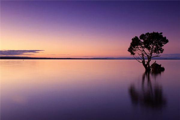 梦见风景是什么意思 梦见风景是什么意思
