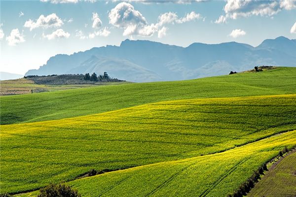 梦见野地是什么意思 梦见野地是什么意思