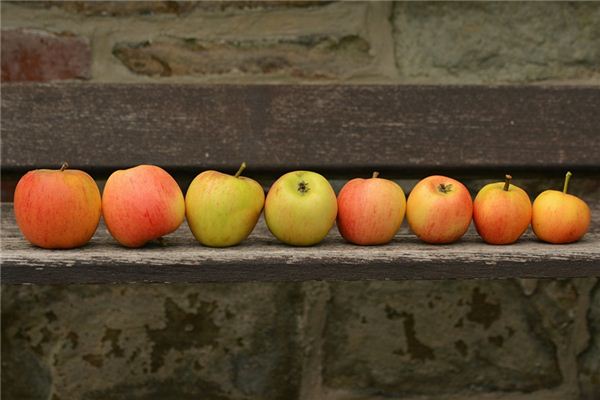 梦见排队是什么意思 梦见排队是什么意思